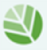 Associate Technical Director