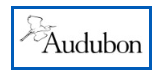 Senior Manager, Business Development