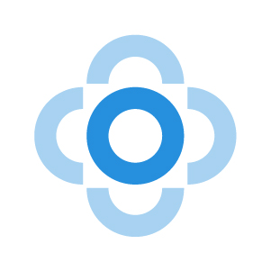 Senior AI Program Manager