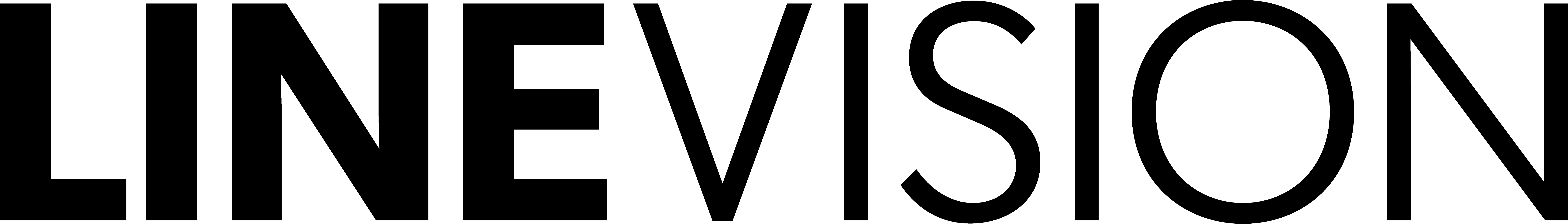 Information Technology Lead