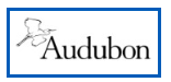Senior Grant Accountant