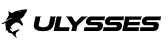Software Engineer